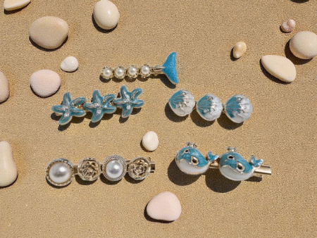 The Seaside Discovery Set